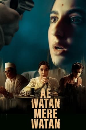 Ae Watan Mere Watan 2024 Hindi – 720p – HD Poster Download - filmyfly