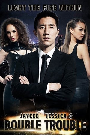 Double Trouble (2012) Hindi Dual Audio [800MB] HD Poster Download - filmyfly