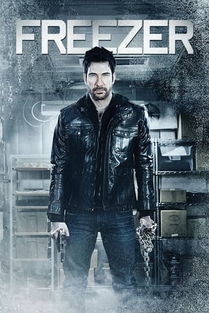 Freezer (2014) Hindi Dual Audio [800MB] HD Poster Download - filmyfly
