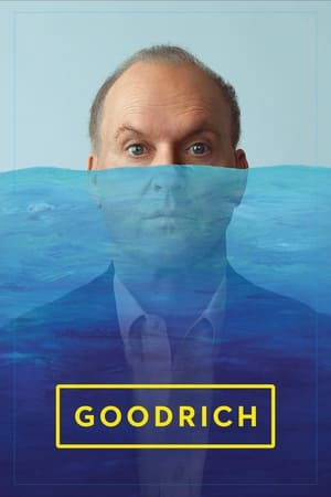 Goodrich 2024 Hindi Dubbed HD Poster Download - filmyfly