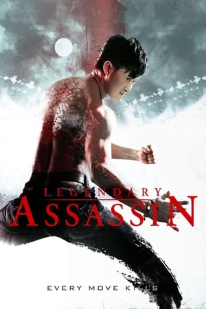 Legendary (2013) Hindi Dual Audio [1GB] HD Poster Download - filmyfly