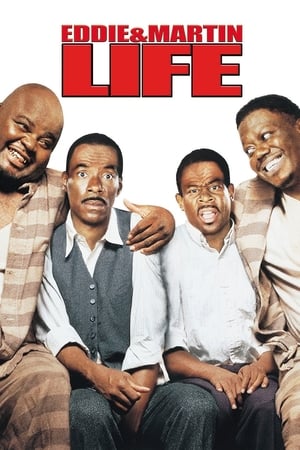 Life (1999) Movie Hindi Dual Audio [2GB] HD Poster Download - filmyfly
