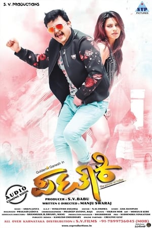 Pataki 2017 Dual Audio Hindi 450MB HD Poster Download - filmyfly