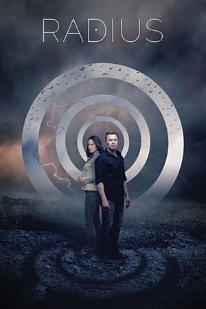 Radius (2017) Hindi Dual Audio [870MB] HD Poster Download - filmyfly
