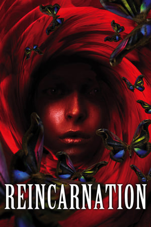 Reincarnation 2005 Hindi Dual Audio 300MB HD Poster Download - filmyfly