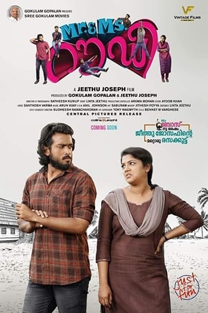 Rowdy 2019 Hindi Dubbed 300MB HD Poster Download - filmyfly