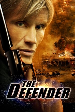 The Defender (2004) Hindi Dual Audio [1.2GB] HD Poster Download - filmyfly