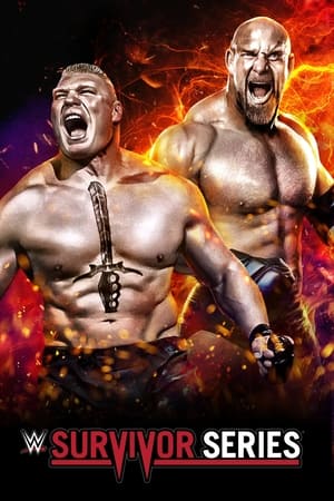 WWE Survivor Series 2016 PPV HDTV [750mb] HD Poster Download - filmyfly